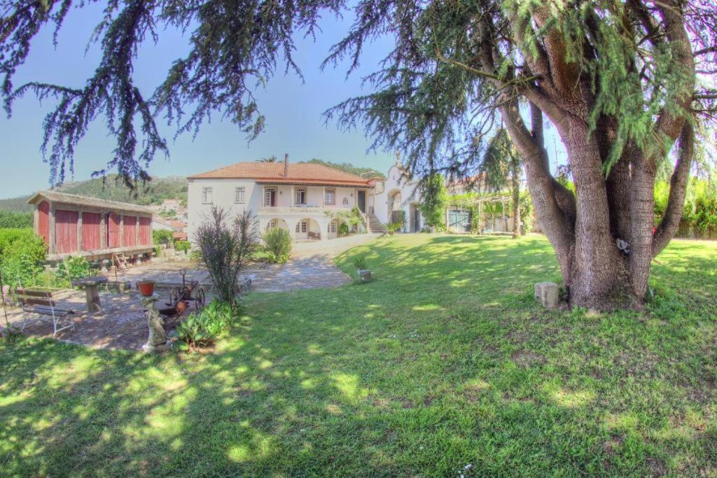 مبيت وإفطار فيلا نوفا دي سيرفيرا Quinta De Sao Roque المظهر الخارجي الصورة